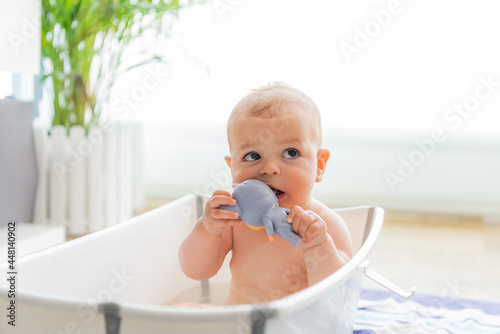 Caucasian baby chewing on a toy, looking out of the corner of his eye and bathing in a portable bathtub in the living room. Concept of family and hygiene. Horizontal plane with copy space.