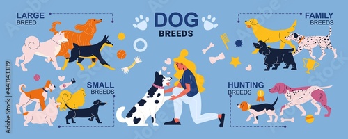 Dog Breeds Infographics
