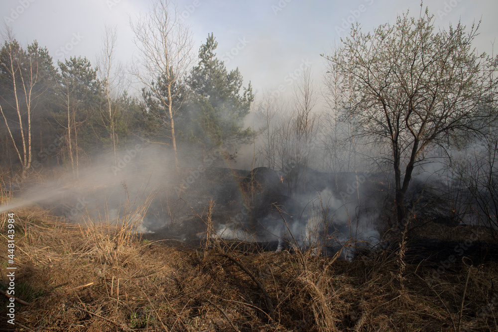 Lot of smoke. Raging forest spring fires. Burning dry grass. Ecological catastrophe. Fire and smoke destroy all life. Firefighters extinguish fire. Lot of smoke. Raging forest spring fires. Burning dry grass. Ecological catastrophe. Fire and smoke destroy all life. Firefighters extinguish fire.