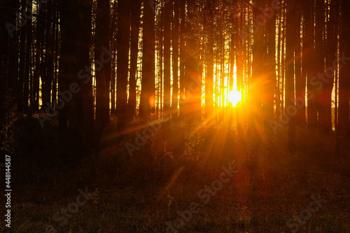 Landscape with Seliger lake in Tver oblast, Russia at sunset