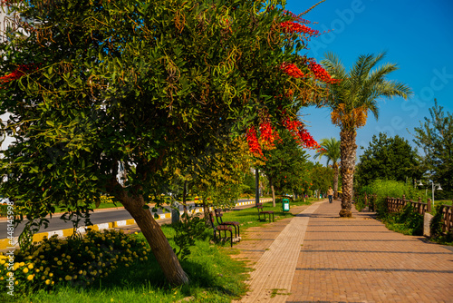 ANTALYA, TURKEY: Pedestrian road and trees in Ataturk Park in Antalya on a sunny summer day.