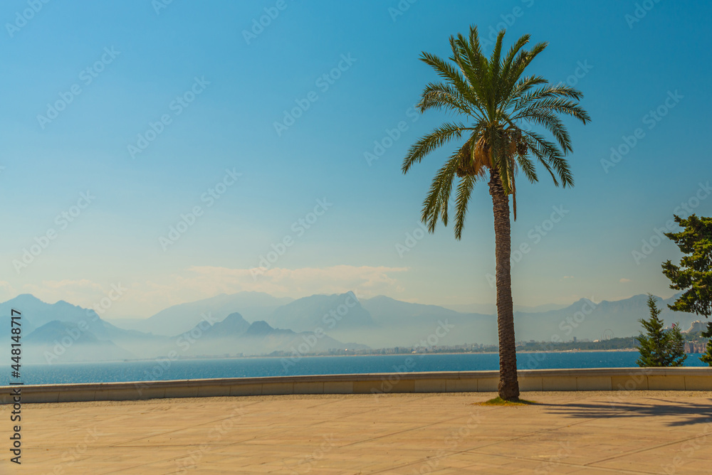 Fototapeta premium ANTALYA, TURKEY: Landscape in Karaalioglu park with a palm tree in the background of the mountains and the sea.
