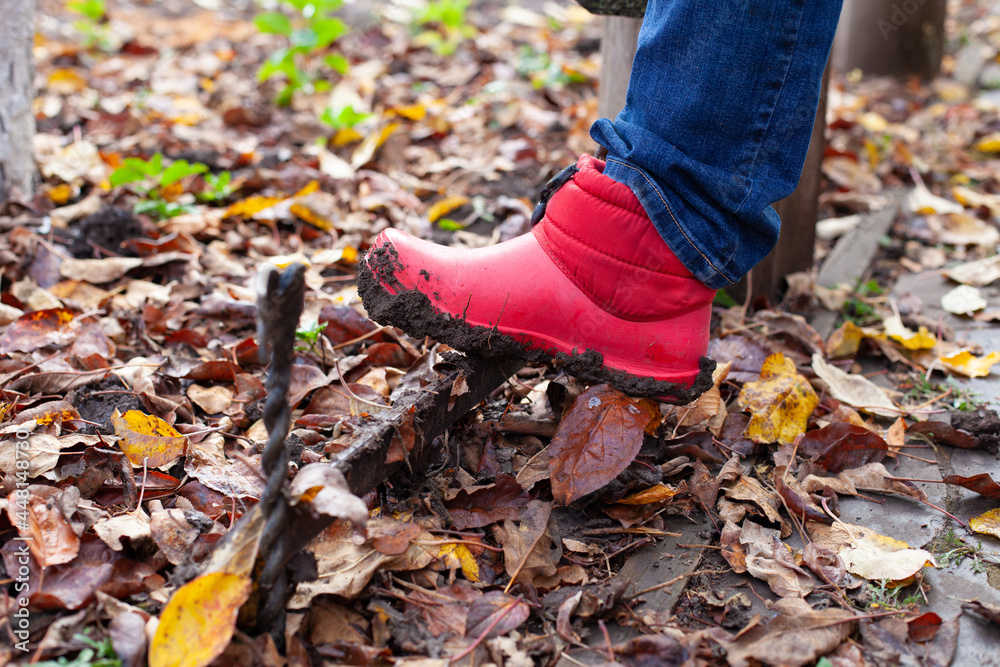 Boots on a shoe scraper. Dirty rubber boots are cleaned of dirt from the sole on the English traditional shoe scraper in the autumn garden. Boots on a shoe scraper. Dirty rubber boots are cleaned of dirt from the sole on the English traditional shoe scraper in the autumn garden.