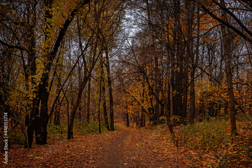 Izmailovo Park in autumn in Moscow, Russia © nata_vkusidey