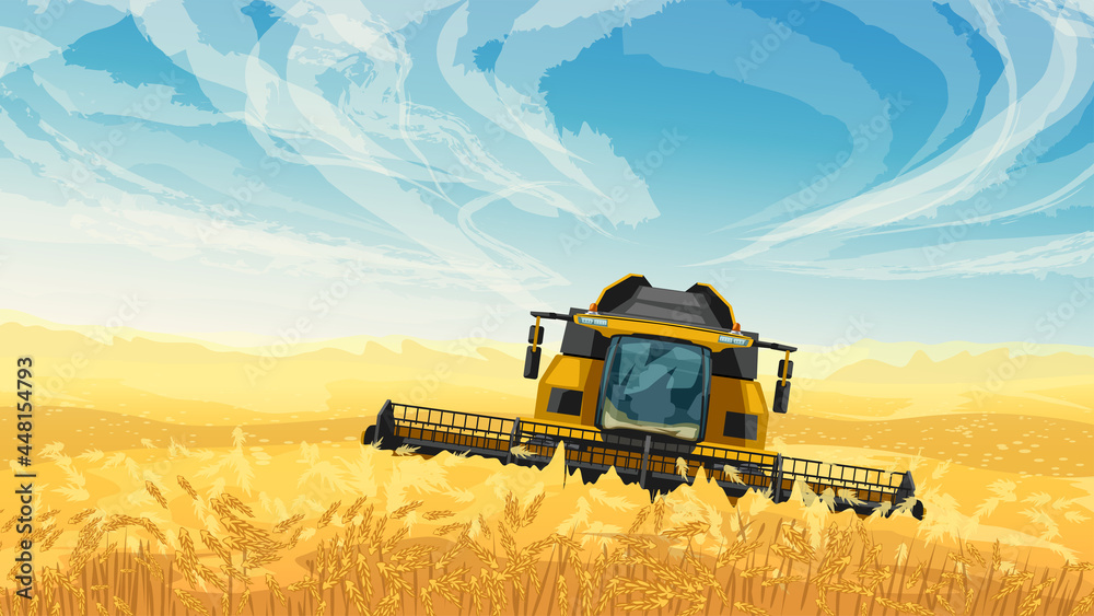 Obraz premium harvester on golden wheat field blue sky