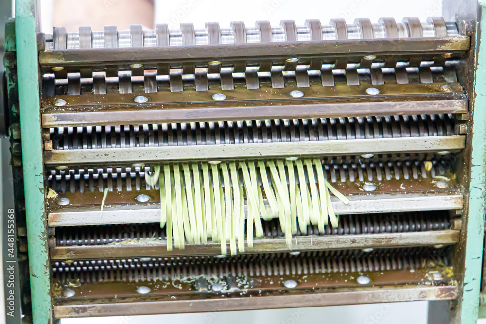 Production of noodles in an Italian restaurant. Green noodles