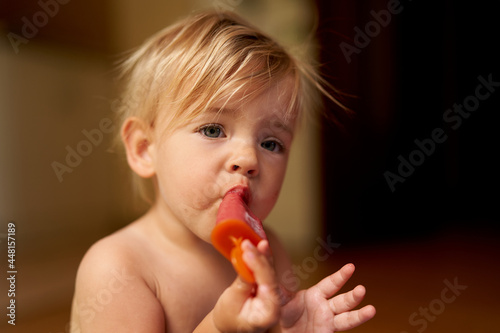 Small child eats ice cream on a stick. Portrait
