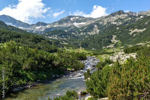 Landscape of Banderitsa River at Pirin Mountain  Bulgaria
