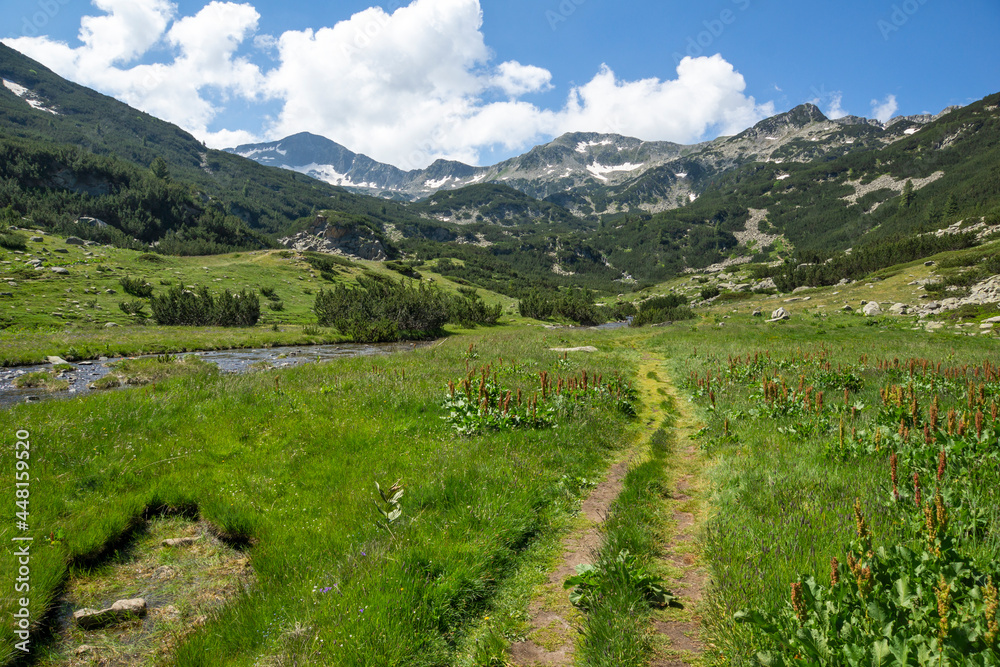 Landscape of Banderitsa River at Pirin Mountain, Bulgaria