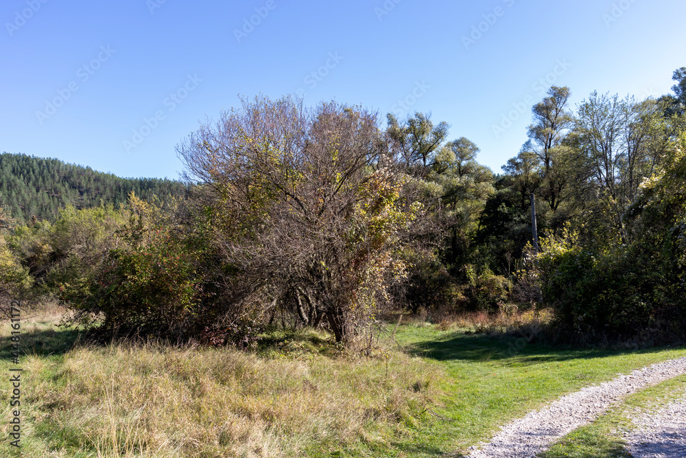 Landscape of Nishava river gorge, Balkan Mountains, Bulgaria Landscape of Nishava river gorge, Balkan Mountains, Bulgaria