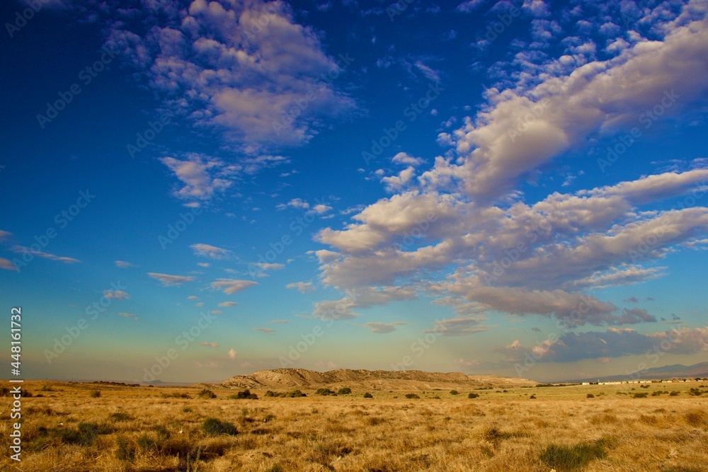 California Desert Landscape With Mountain Background California Desert Landscape With Mountain Background