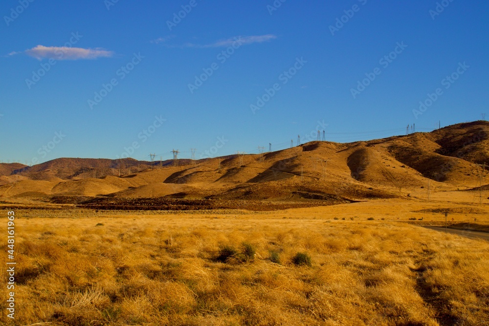 Fototapeta premium California Desert Landscape With Mountain Background