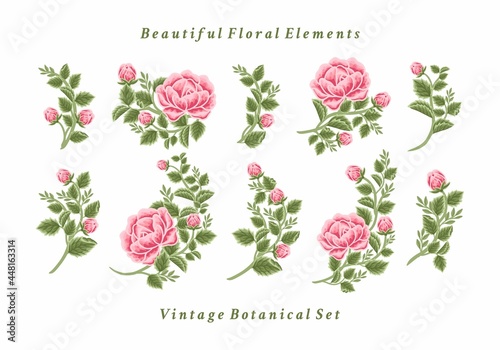 Set of vintage feminine pink rose flower bouquet vector illustration arrangements for logo, beauty products, decoration, wedding invitation, greeting cards, aesthetic elements for various purposes
