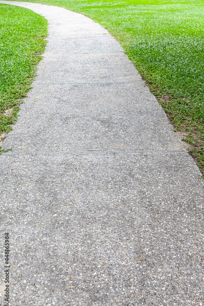 Long concrete walkway in the summer green garden