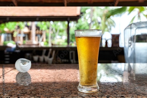 Tall beer glass at the garden bar counter