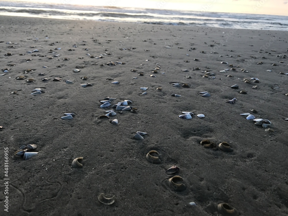 beach beach