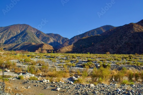 Canvas Print California Desert Landscape With Mountain Background