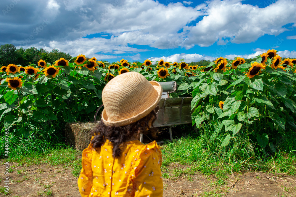 Beautiful girl in a field of sunflowers
