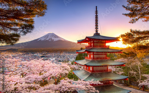 Obraz na plátně Chureito Pagoda and Fuji Mountain withP Pink Sakura in Spring at Sunset, Fujiyos