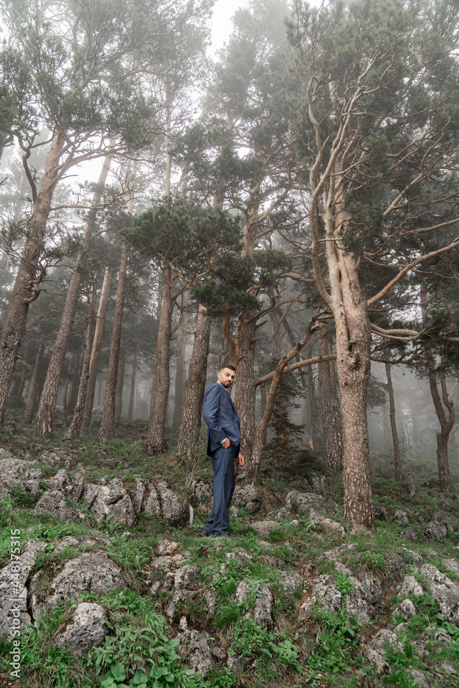 attractive man with beard in business suit stands in the mountain forest attractive man with beard in business suit stands in the mountain forest