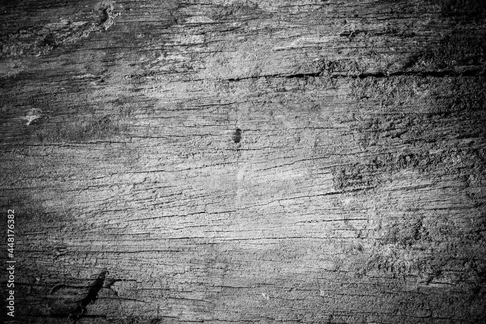 Obraz premium Texture old wood.