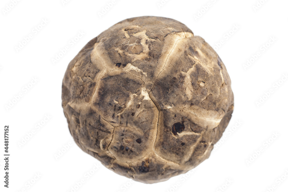 Fototapeta premium Dried shiitake mushroom on white background.