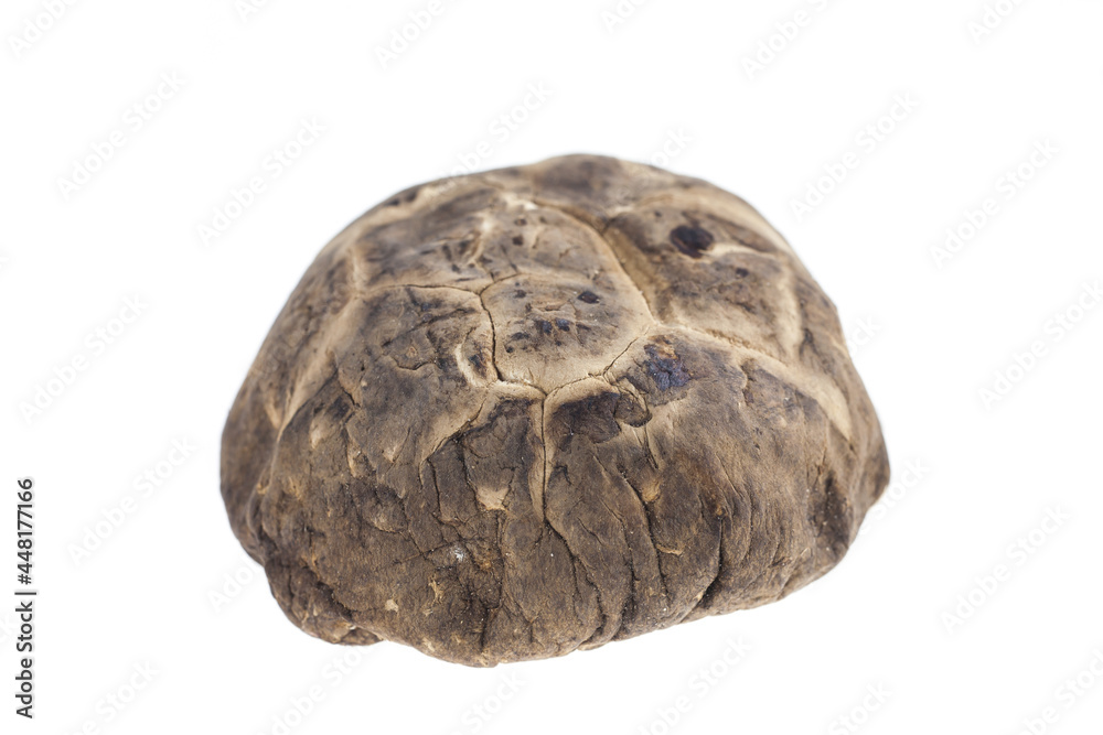 Dried shiitake mushroom on white background. Dried shiitake mushroom on white background.