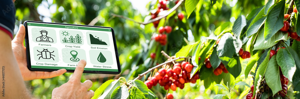 Obraz premium Smart Farming Digital Technology Agriculture App