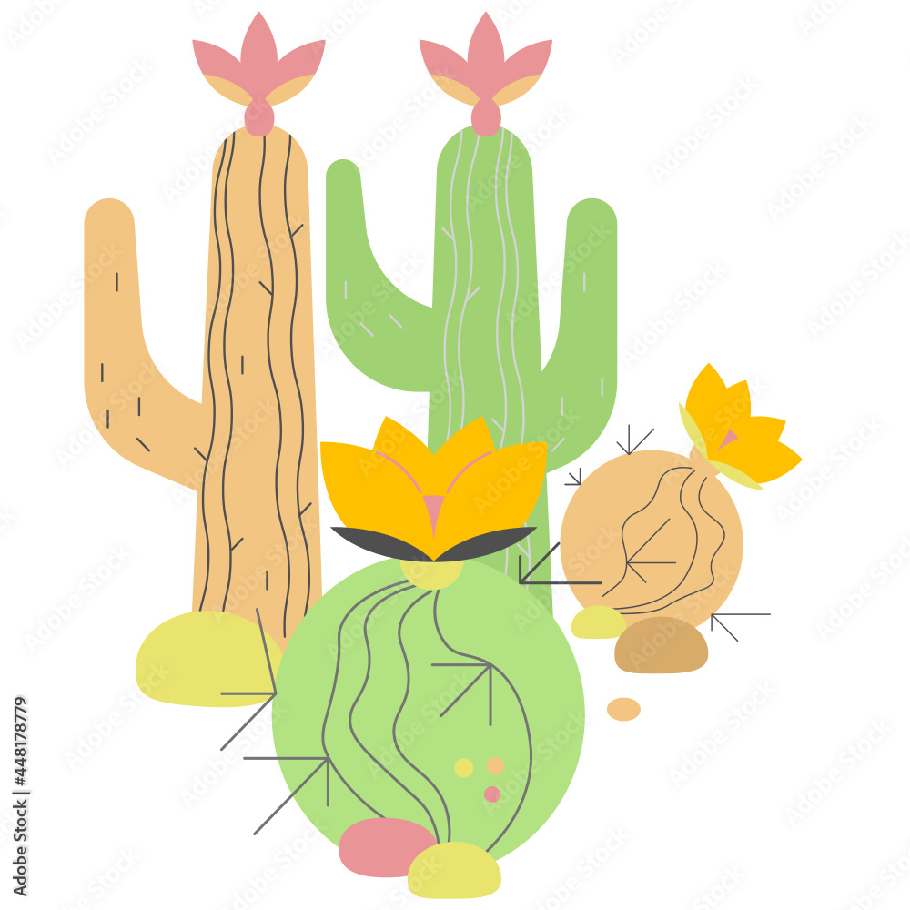 Green and pink cactus vector, on a white background. Green and pink cactus vector, on a white background.