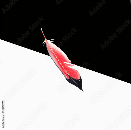 Colored bird feather on a black background close-up. Vector graphics. Material for printing on paper or fabric.