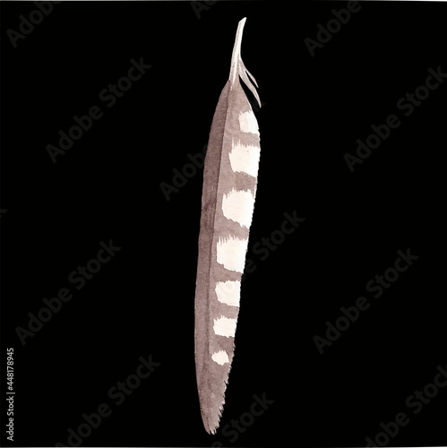 Colored bird feather on a black background close-up. Vector graphics. Material for printing on paper or fabric.