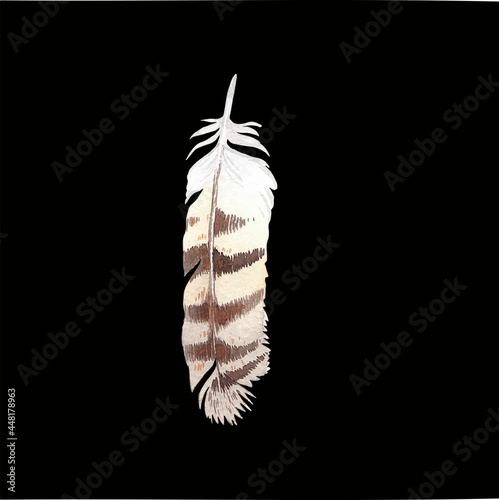 Colored bird feather on a black background close-up. Vector graphics. Material for printing on paper or fabric.