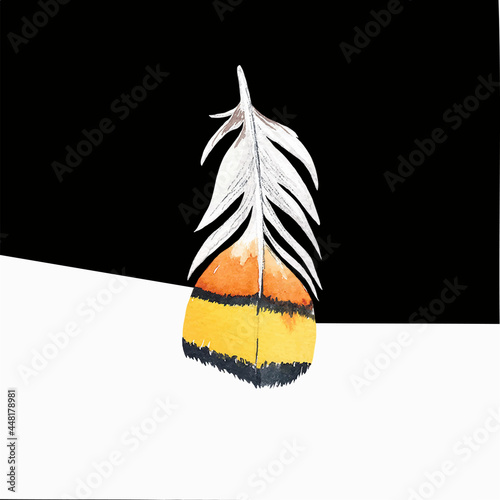 Colored bird feather on a black background close-up. Vector graphics. Material for printing on paper or fabric.
