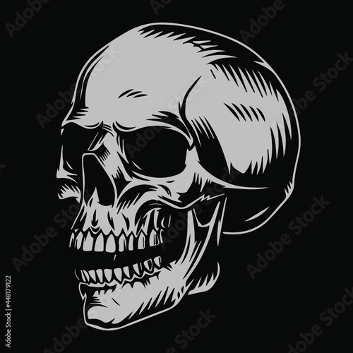 human skull with a skull