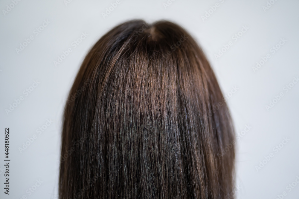 Model Woman With Long Healthy Straight Hair Model Woman With Long Healthy Straight Hair