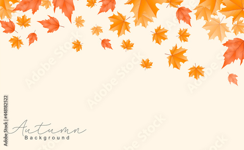 Beautiful autumn leaves background