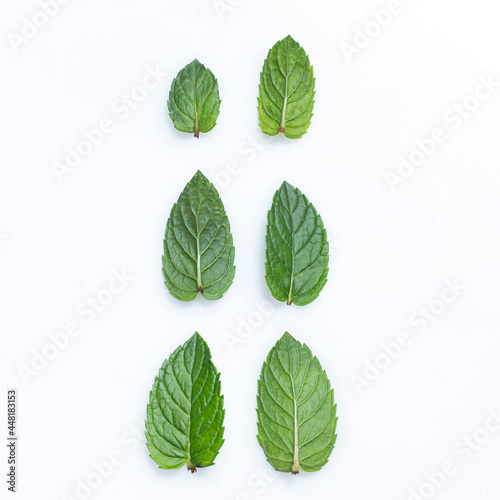 Fresh green mint leaves closeup