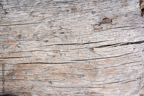 Background texture of trunk of old dry tree with long cracks. Horizontal image.