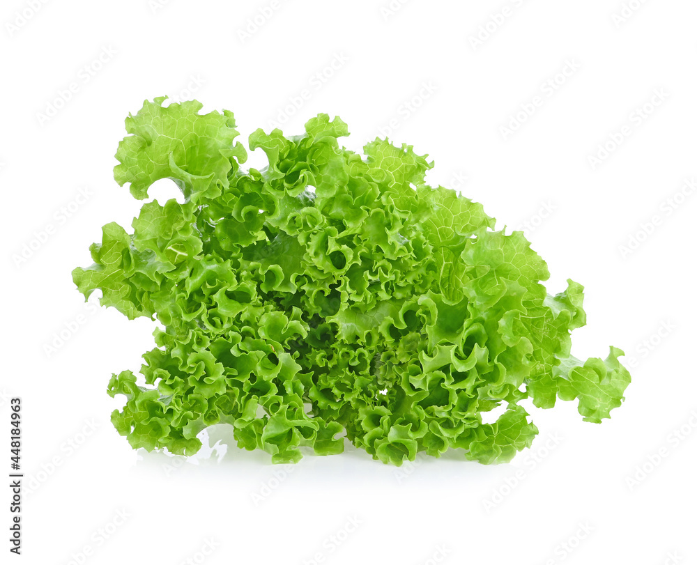 Fototapeta premium lettuce isolated on white background.