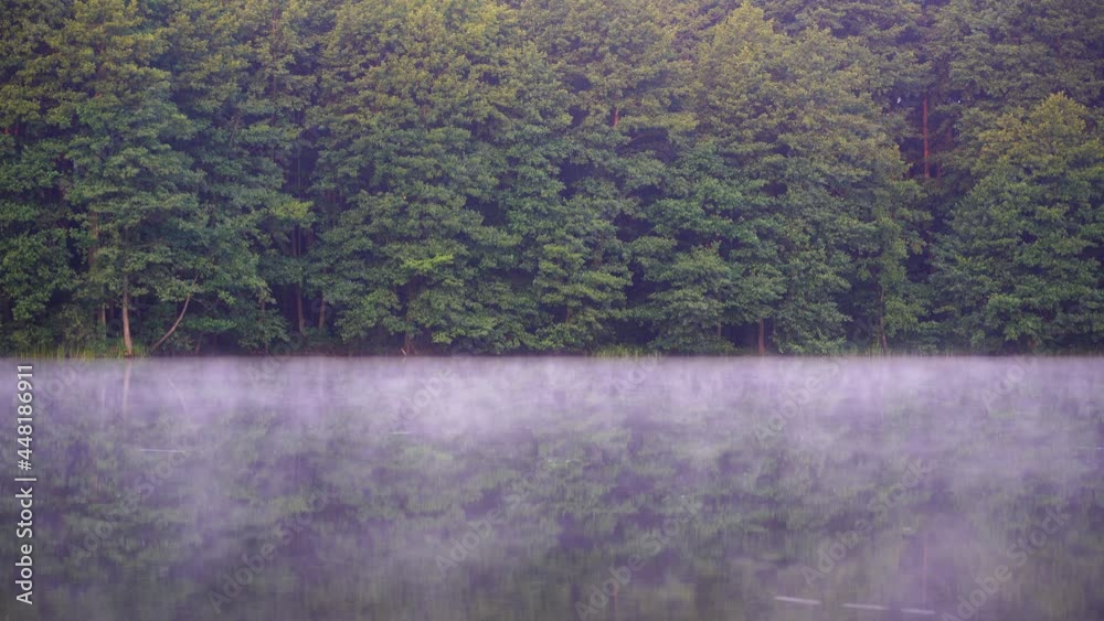 Green forest near the lake in reflection in calm water and fog over water in the morning, Ukraine. Beauty in nature, establishing shot