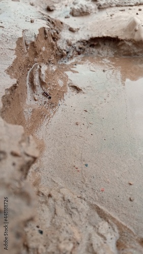 footprints in the sand