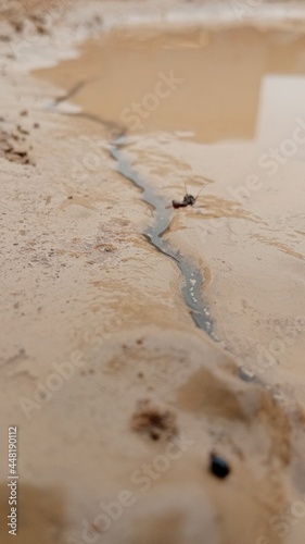 sand and water
