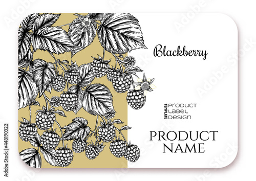 Blackberry. Ripe berries on branch. Template for product label, cosmetic packaging. Easy to edit. Graphic drawing, engraving style. Vector illustration..