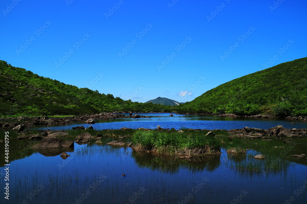 ニセコ連山、シャクナゲ沼