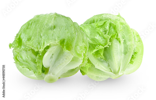 Fresh lettuce isolated on white background.