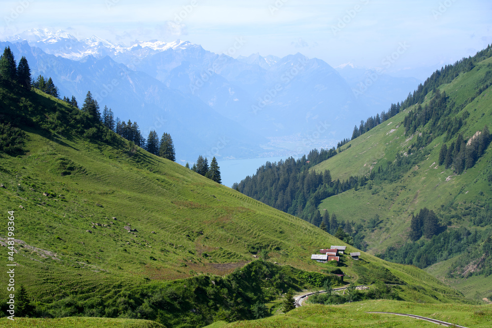 Panoramic view of Swiss alps at Bernese Highland on a beautiful sunny summer day seen from Brienzer Rothorn. Photo taken July 21st, Flühli, Switzerland.