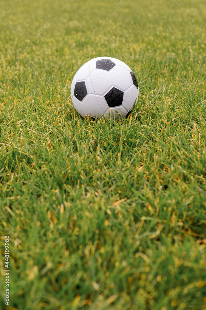 Classic football or soccer ball on a green grass Classic football or soccer ball on a green grass