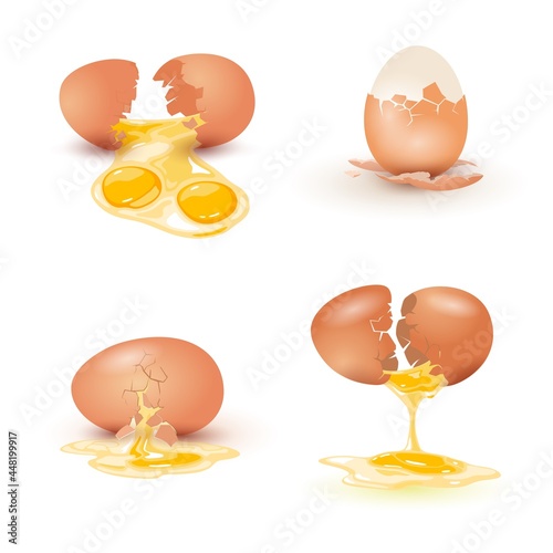 Collection of round shaped farm product for morning eating, fresh and raw. Vector broken eggshell, double yolk, cooked and uncooked ingredient design isolated on white background
