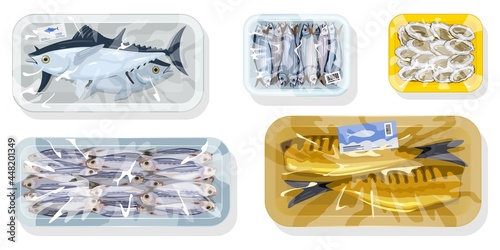 Cartoon set of tuna, herring, oyster, sprat and mackerel fishes packed in plastic trays. Vector seafood transportation, fish market order. Idea of healthy eating, nutritious food isolated on white