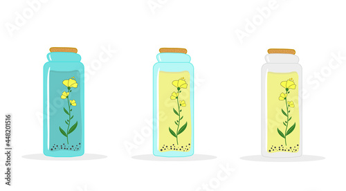 Rape flowers, canola oil in a glass jar or bottle. Brassica napus. Canola.
